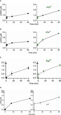 Cardiolipin Structure and Oxidation Are Affected by Ca2+ at the Interface of Lipid Bilayers